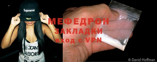 индика Рыльск