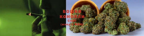 PSILOCYBIN Надым