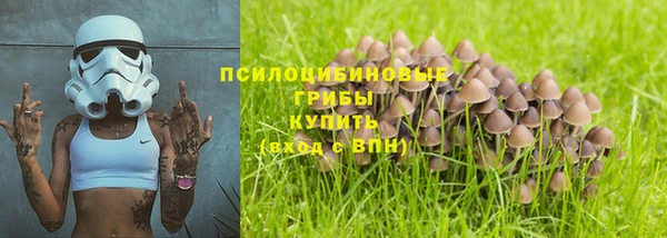PSILOCYBIN Надым