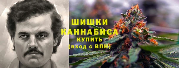 PSILOCYBIN Надым